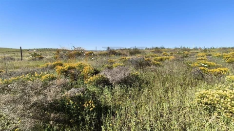 Terreno Agricola ou Rústico para Venda em Azinhal