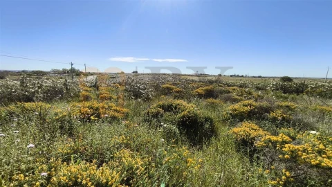 Terreno Agricola ou Rústico para Venda em Azinhal