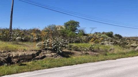 Terreno Agricola ou Rústico para Venda em Azinhal