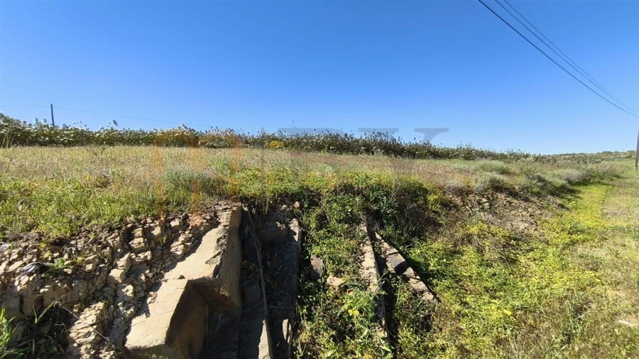 Terreno Agricola ou Rústico para Venda em Azinhal Foto 8