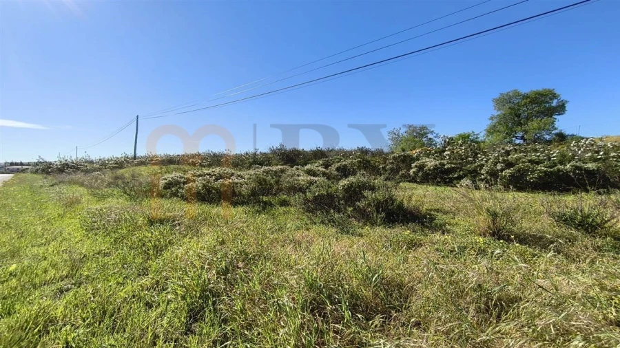 Terreno Agricola ou Rústico para Venda em Azinhal Foto 10