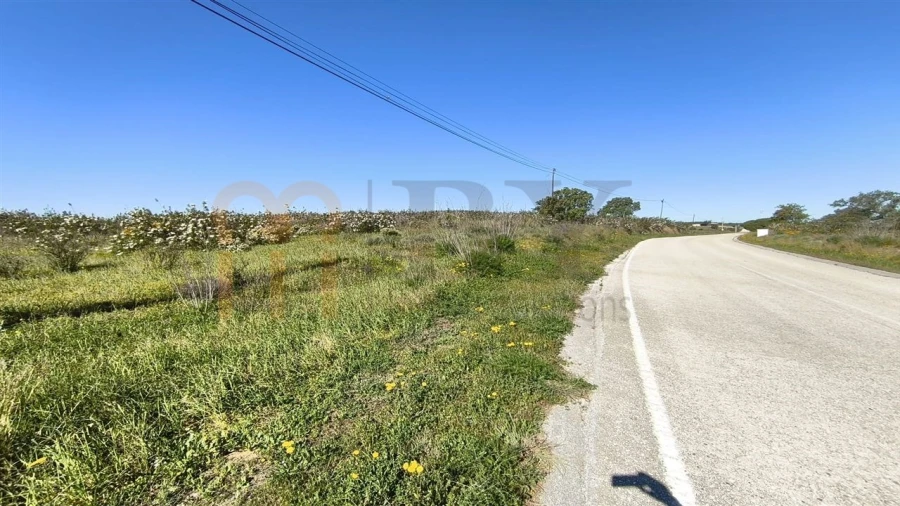 Terreno Agricola ou Rústico para Venda em Azinhal Foto 14
