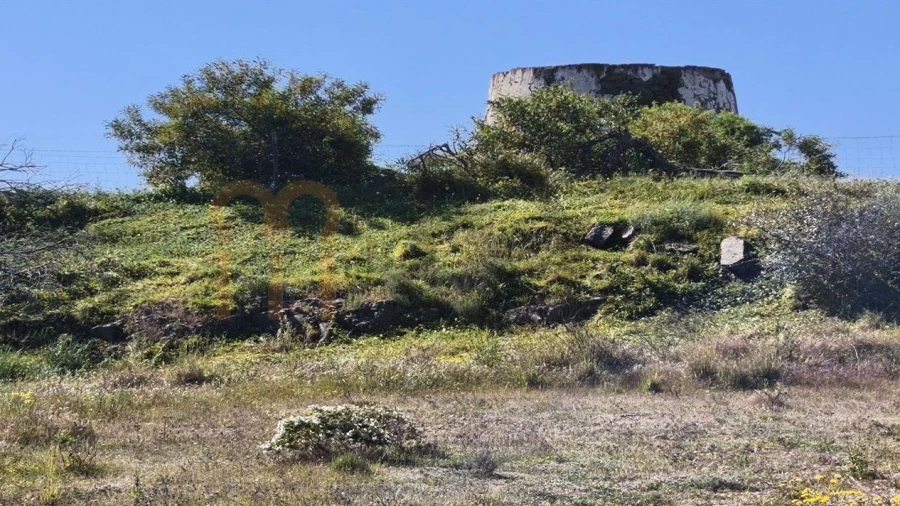 Terreno Agricola ou Rústico para Venda em Azinhal