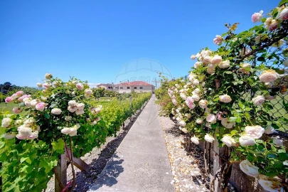 Moradia T4 para Venda em Lama de Arcos