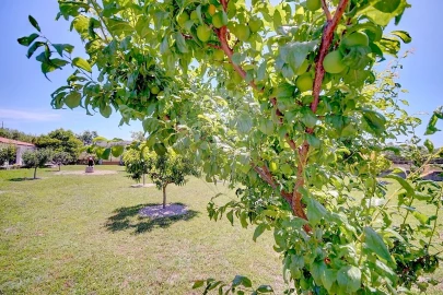 Moradia T4 para Venda em Lama de Arcos