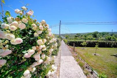 Moradia T4 para Venda em Lama de Arcos