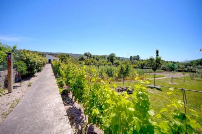 Moradia T4 para Venda em Lama de Arcos