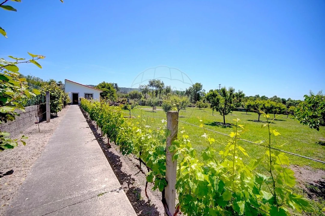 Moradia T4 para Venda em Lama de Arcos Foto 39