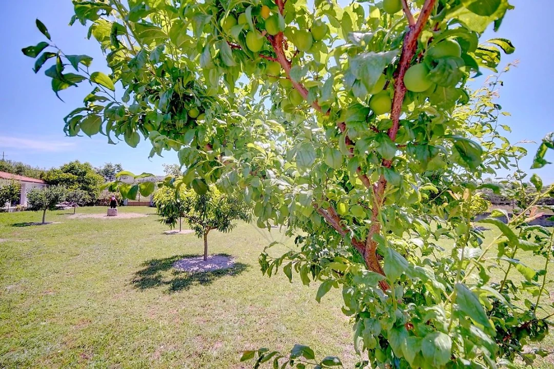 Moradia T4 para Venda em Lama de Arcos Foto 37