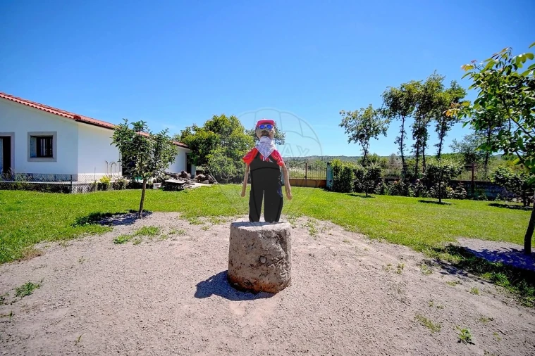 Moradia T4 para Venda em Lama de Arcos Foto 35