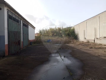 Armazém para Venda em Alcanena e Vila Moreira