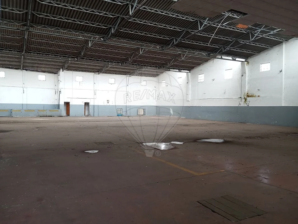 Armazém para Venda em Alcanena e Vila Moreira Foto 21