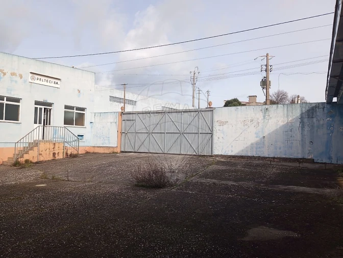 Armazém para Venda em Alcanena e Vila Moreira Foto 22