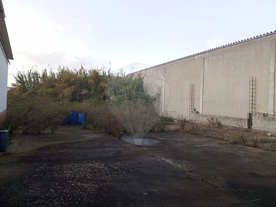 Armazém para Venda em Alcanena e Vila Moreira Foto 8