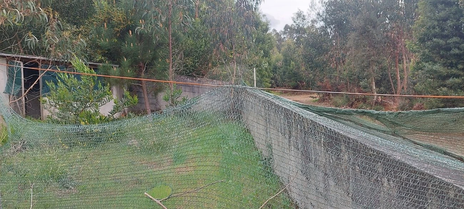 Terreno para Venda em Santa Maria da Feira, Travanca, Sanfins e Espargo Foto 12