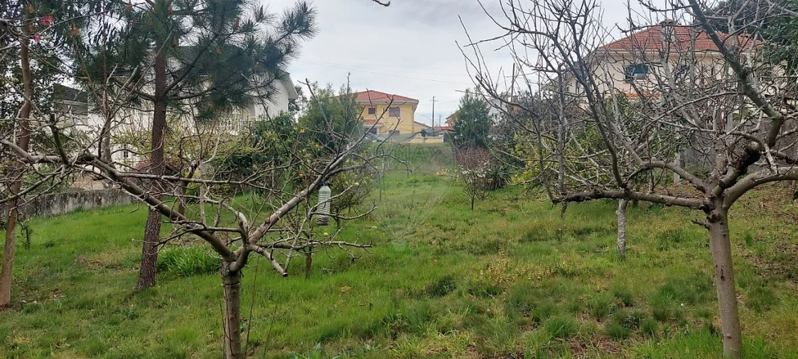 Terreno para Venda em Santa Maria da Feira, Travanca, Sanfins e Espargo Foto 6