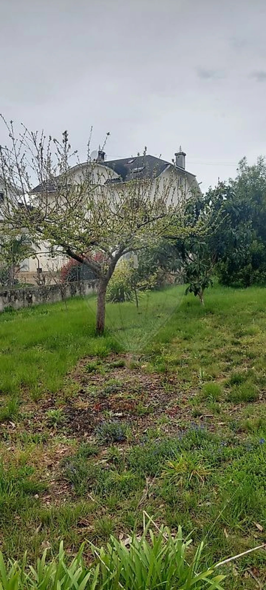 Terreno para Venda em Santa Maria da Feira, Travanca, Sanfins e Espargo Foto 11