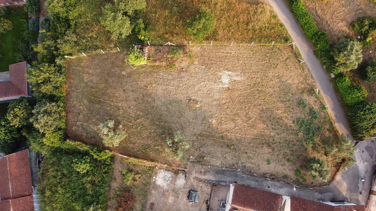 Terreno para Venda em Ançã Foto 3