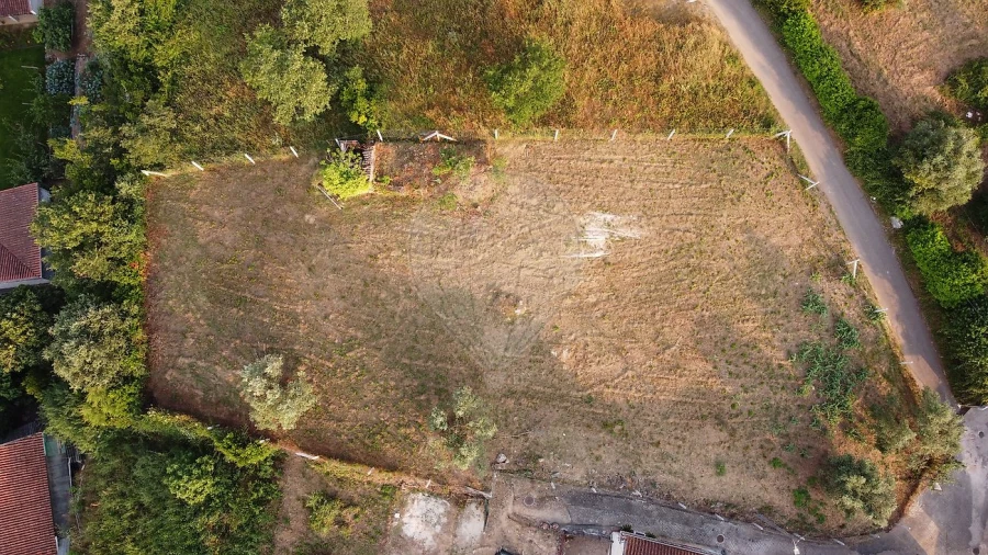 Terreno para Venda em Ançã Foto 16