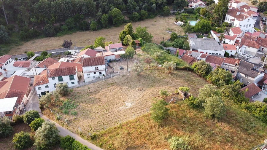Terreno para Venda em Ançã Foto 13