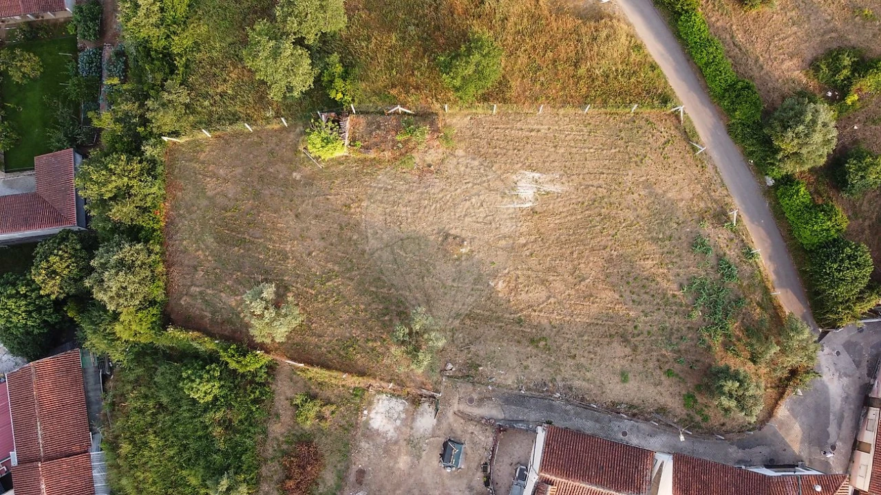 Terreno para Venda em Ançã Foto 14