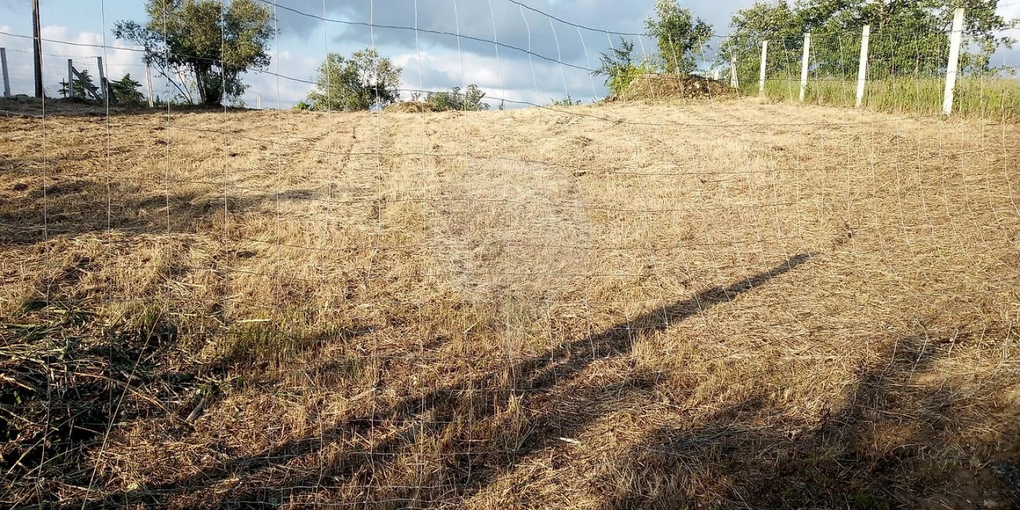 Terreno para Venda em Ançã Foto 4