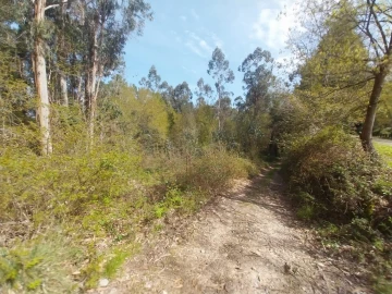 Terreno Agricola ou Rústico para Venda em Mazedo e Cortes