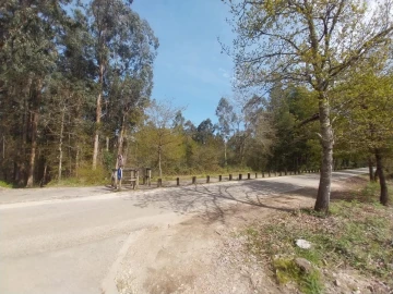 Terreno Agricola ou Rústico para Venda em Mazedo e Cortes