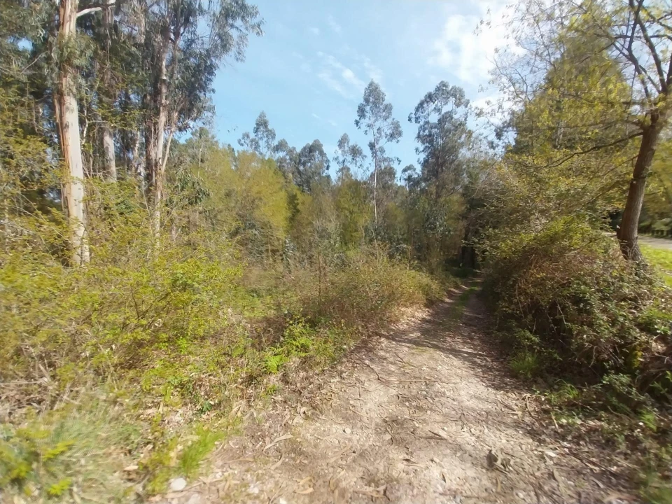 Terreno Agricola ou Rústico para Venda em Mazedo e Cortes Foto 7
