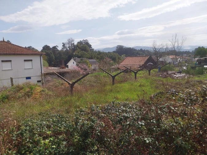 Terreno Agricola ou Rústico para Venda em Mazedo e Cortes Foto 2