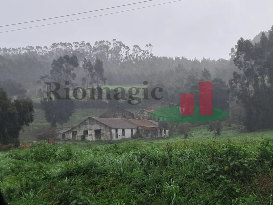 Armazém para Venda em Rio Maior Foto 3