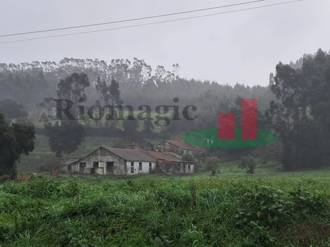 Armazém para Venda em Rio Maior Foto 2