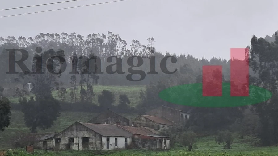 Armazém para Venda em Rio Maior