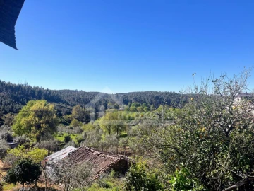 Quinta T3 para Venda em Figueiró dos Vinhos e Bairradas