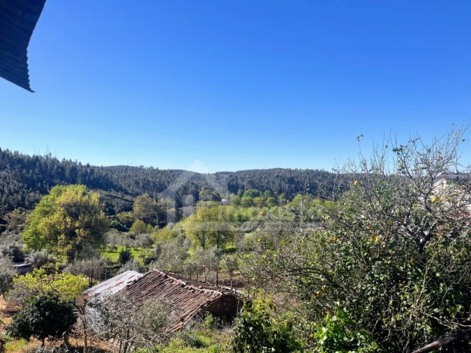 Quinta T3 para Venda em Figueiró dos Vinhos e Bairradas Foto 15