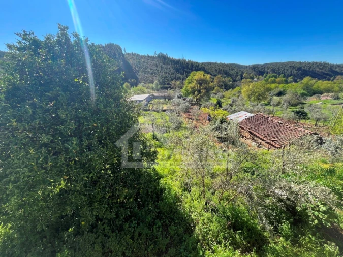 Quinta T3 para Venda em Figueiró dos Vinhos e Bairradas Foto 16