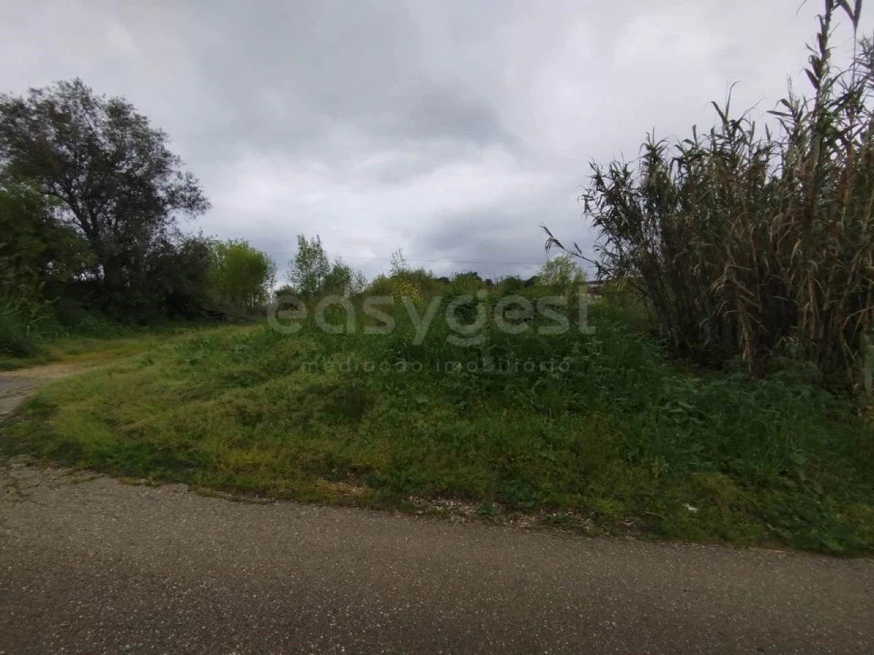 Terreno Agricola ou Rústico para Venda em Eiras e São Paulo de Frades Foto 1