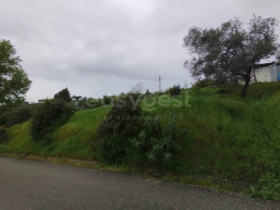 Terreno Agricola ou Rústico para Venda em Eiras e São Paulo de Frades Foto 2