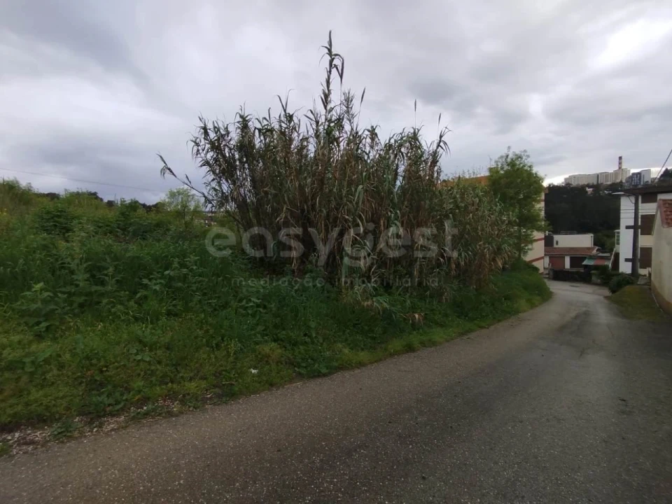 Terreno Agricola ou Rústico para Venda em Eiras e São Paulo de Frades Foto 3