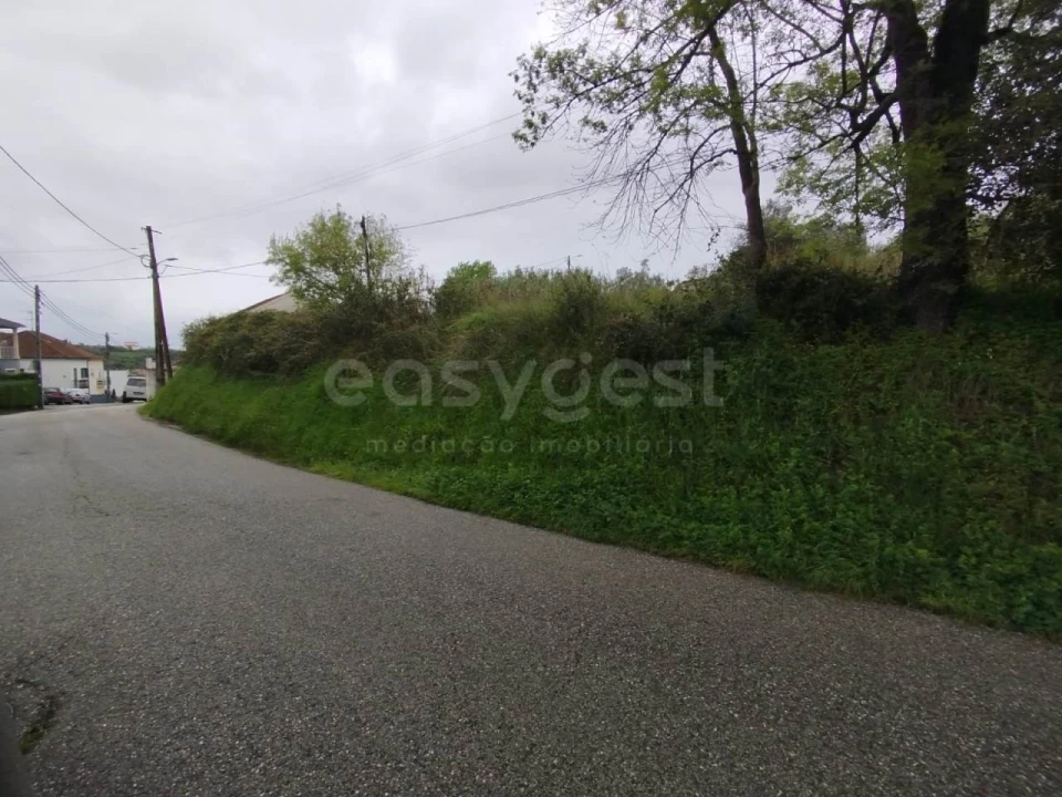 Terreno Agricola ou Rústico para Venda em Eiras e São Paulo de Frades Foto 5