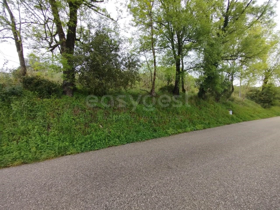 Terreno Agricola ou Rústico para Venda em Eiras e São Paulo de Frades Foto 8