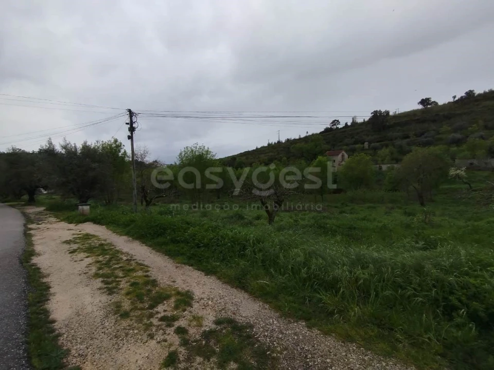Terreno Agricola ou Rústico para Venda em Eiras e São Paulo de Frades Foto 9
