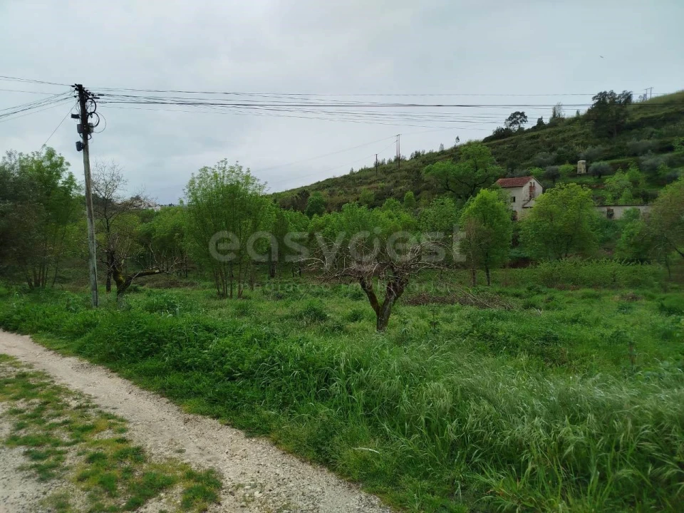 Terreno Agricola ou Rústico para Venda em Eiras e São Paulo de Frades Foto 12