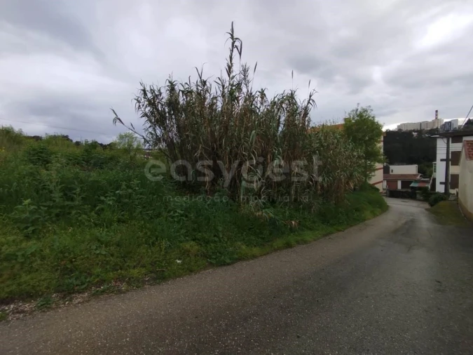 Terreno Agricola ou Rústico para Venda em Eiras e São Paulo de Frades Foto 3