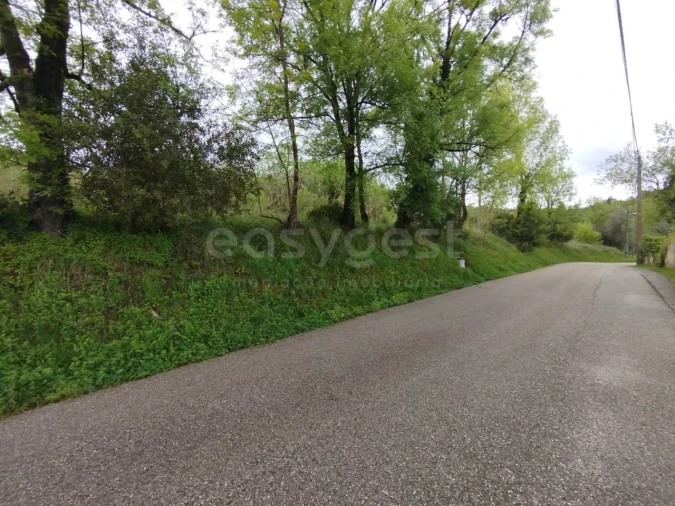 Terreno Agricola ou Rústico para Venda em Eiras e São Paulo de Frades Foto 6