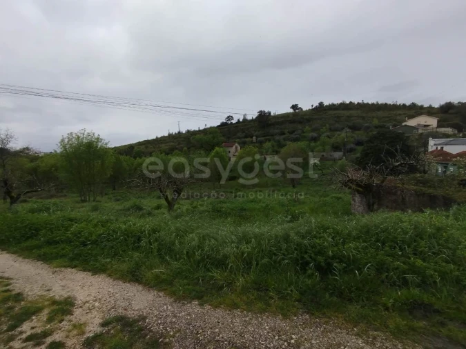 Terreno Agricola ou Rústico para Venda em Eiras e São Paulo de Frades Foto 7