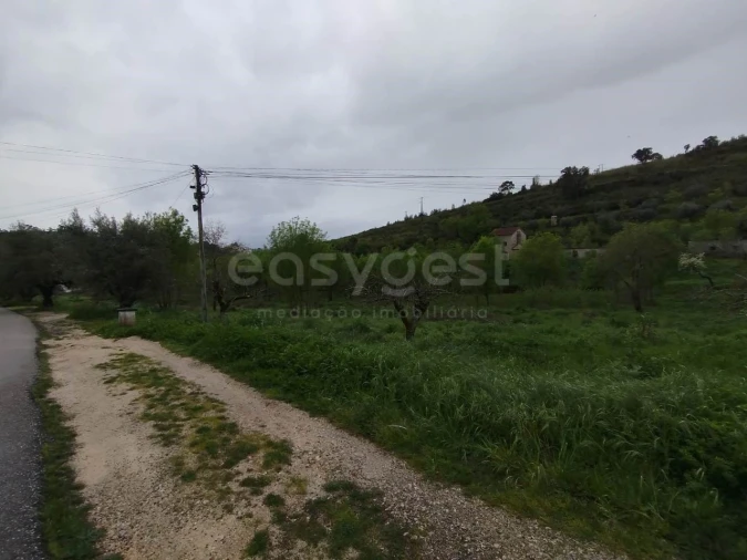 Terreno Agricola ou Rústico para Venda em Eiras e São Paulo de Frades Foto 9
