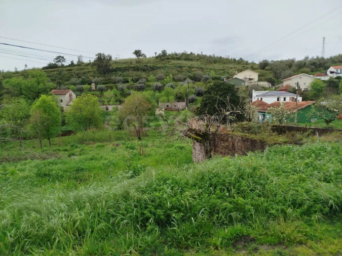 Terreno Agricola ou Rústico para Venda em Eiras e São Paulo de Frades Foto 11