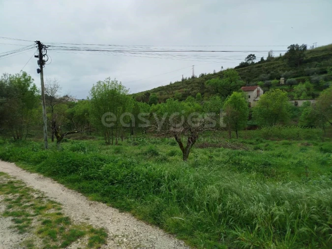 Terreno Agricola ou Rústico para Venda em Eiras e São Paulo de Frades Foto 12