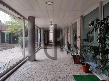 Loja para Arrendamento em Lordelo do Ouro e Massarelos